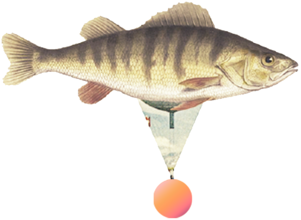 Weird fish / hot air balloon hybrid
